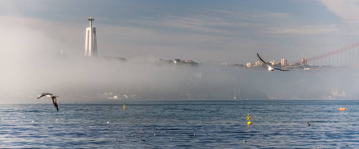 A foggy harbor with a bridge, a lighthouse, and seagulls flying over the water.
