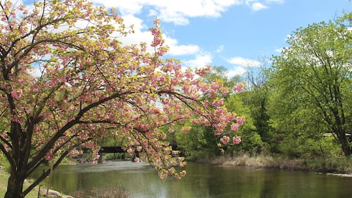 ๋ฝ์ปค์จ์ด