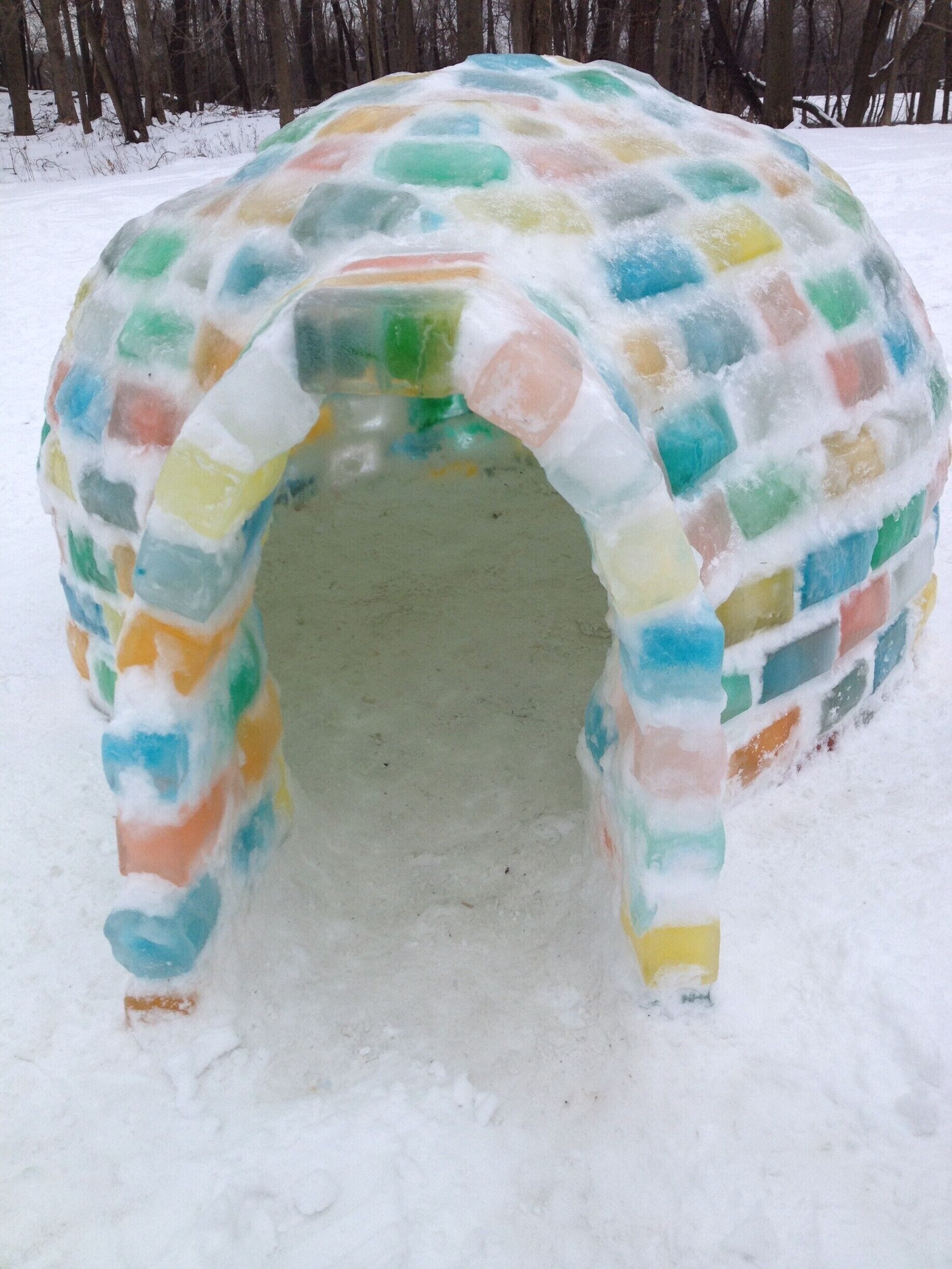 A local artist, Jenny Purner, raised money for charity by building this igloo.  My husband and I went with our nephew and friend to go see it.  
#snow