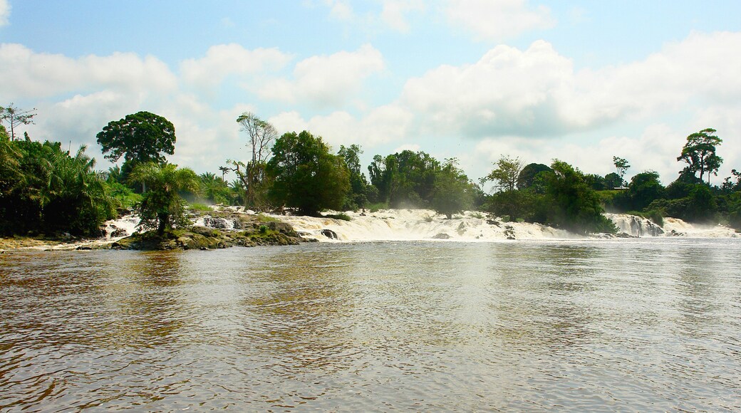 Kribi