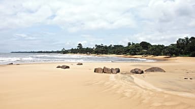 Chutes de la Lobé: the (beautiful) beach nearby.