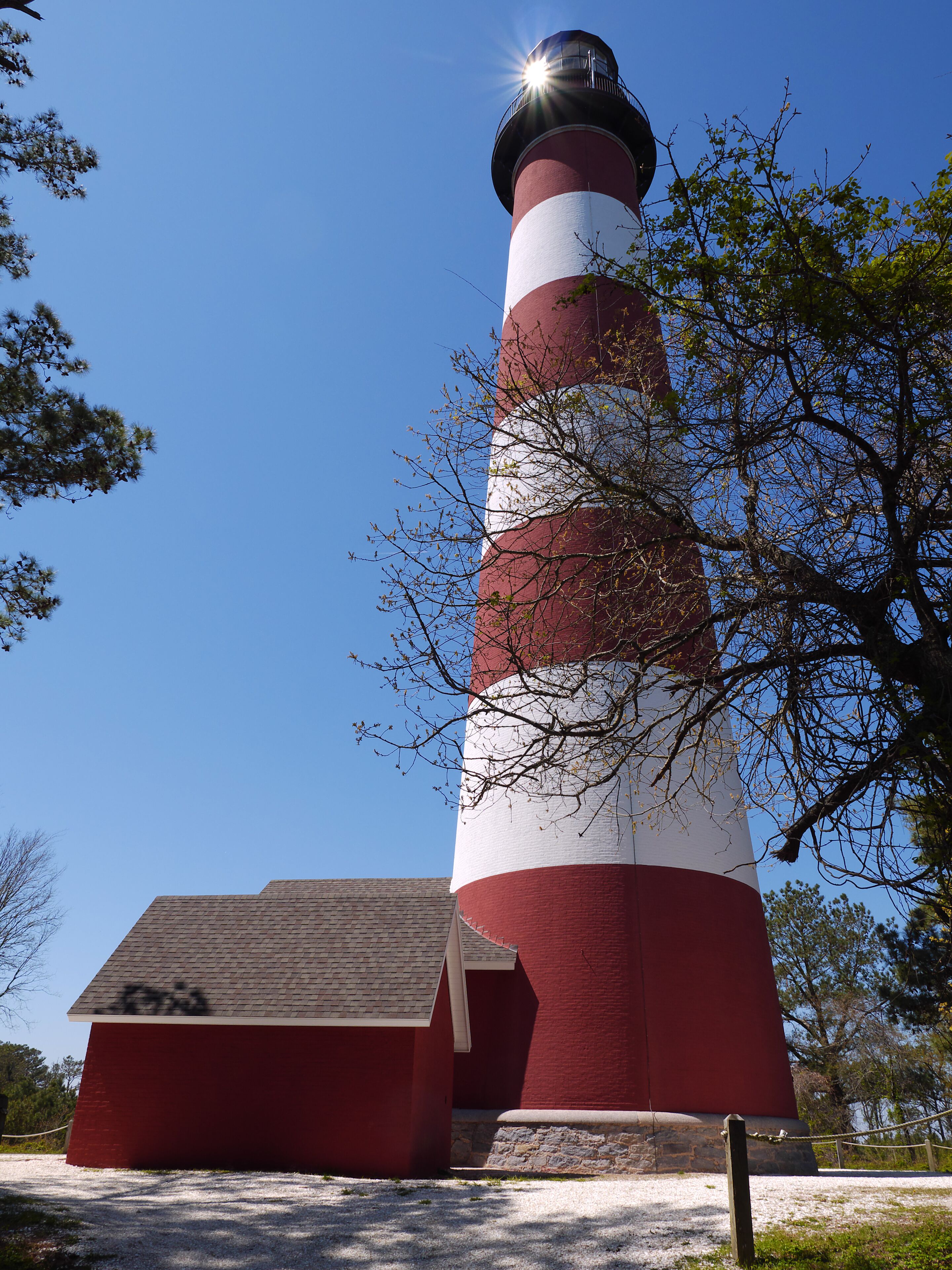 Sun Star Near Beacon at Assateague Lighthouse-Chincoteague NWR
