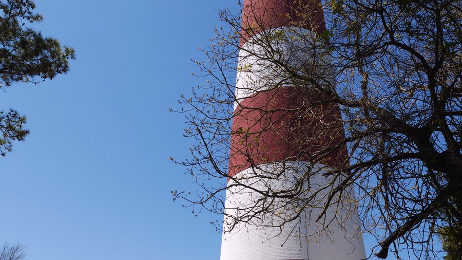 버지니아 동쪽 해안 국립 야생생물 보호지구