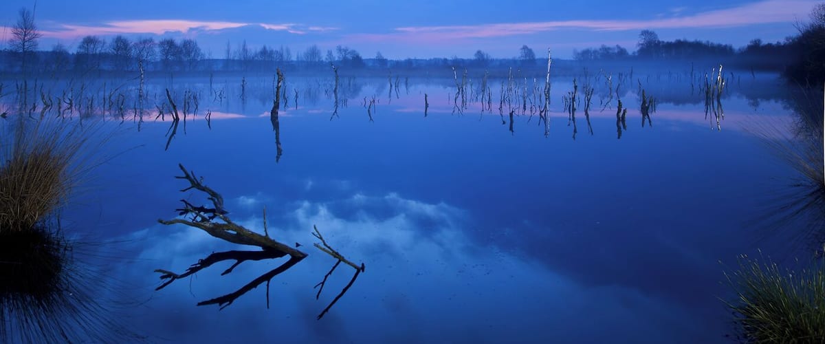 Das Südliche Hagener Königsmoor (NSG LÜ 075) war ein Torfabbaugebiet, das später geflutet wurde um die Flächen zu renaturieren. Es wurden große Wiedervernässungsflächen für Tier- und Vogelwelt geschaffen.