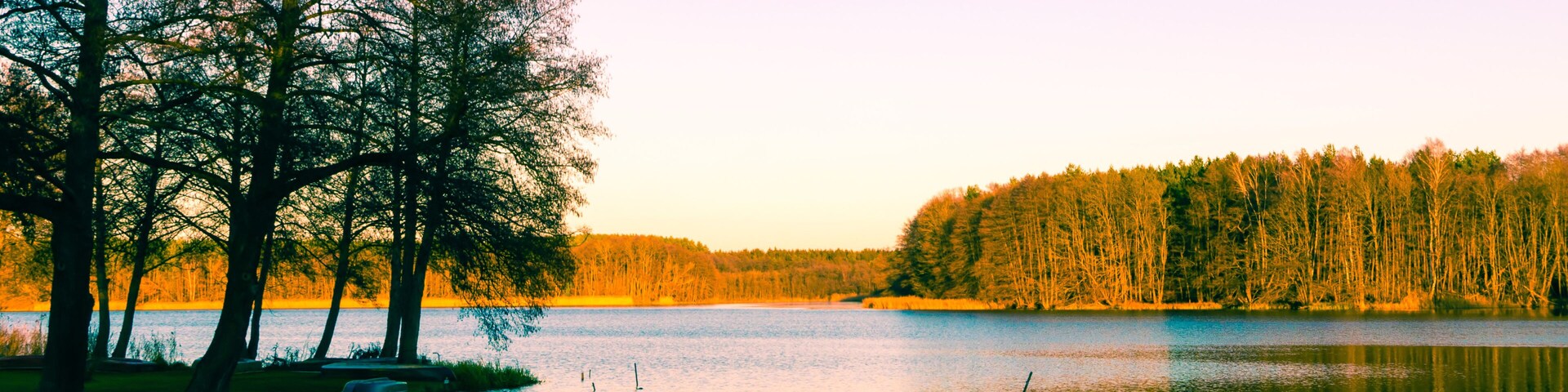 A calm lake with trees reflecting on the water, surrounded by a forest.