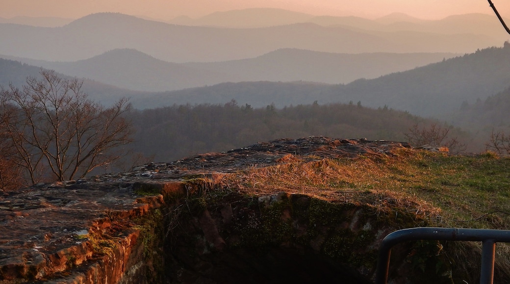 Ausblick von der Burg Scharfenberg Münz
