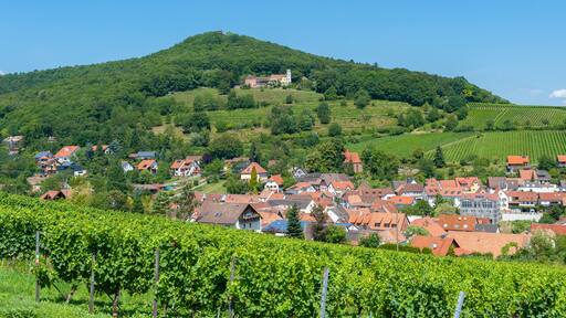A hillside town with vineyards, a church, and a castle on a hill.
