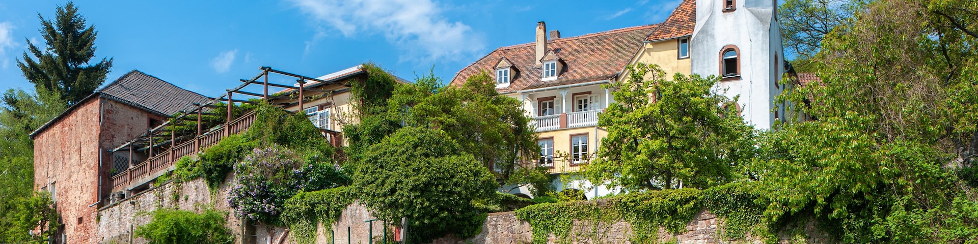 Eine Burg mit einem Turm, umgeben von üppigem Grün und einem Feld voller Wildblumen.