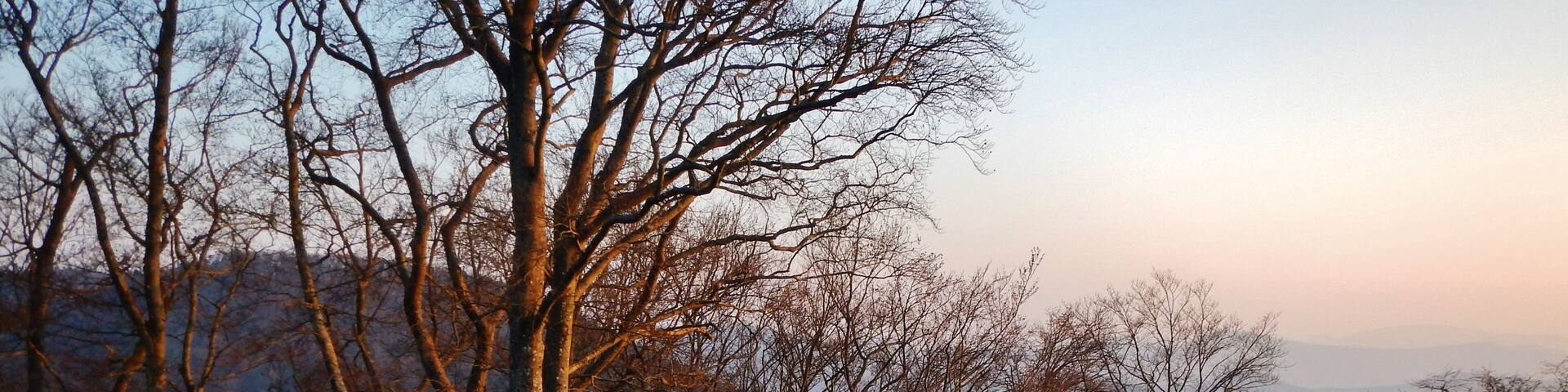 Burg Scharfenberg Münz, Ruine einer mittelalterlichen Felsenburg