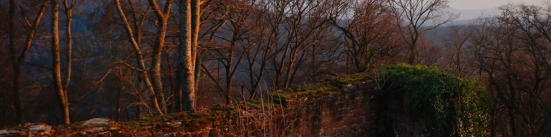 Burg Scharfenberg Münz, Ruine einer mittelalterlichen Felsenburg