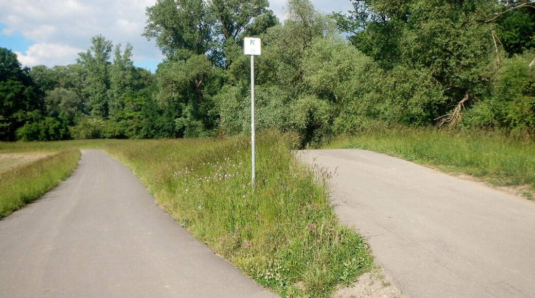 Radweg nach Speyer