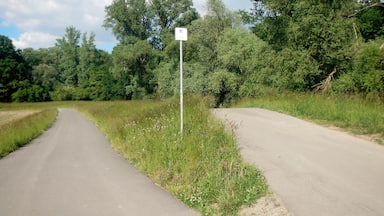 Radweg nach Speyer