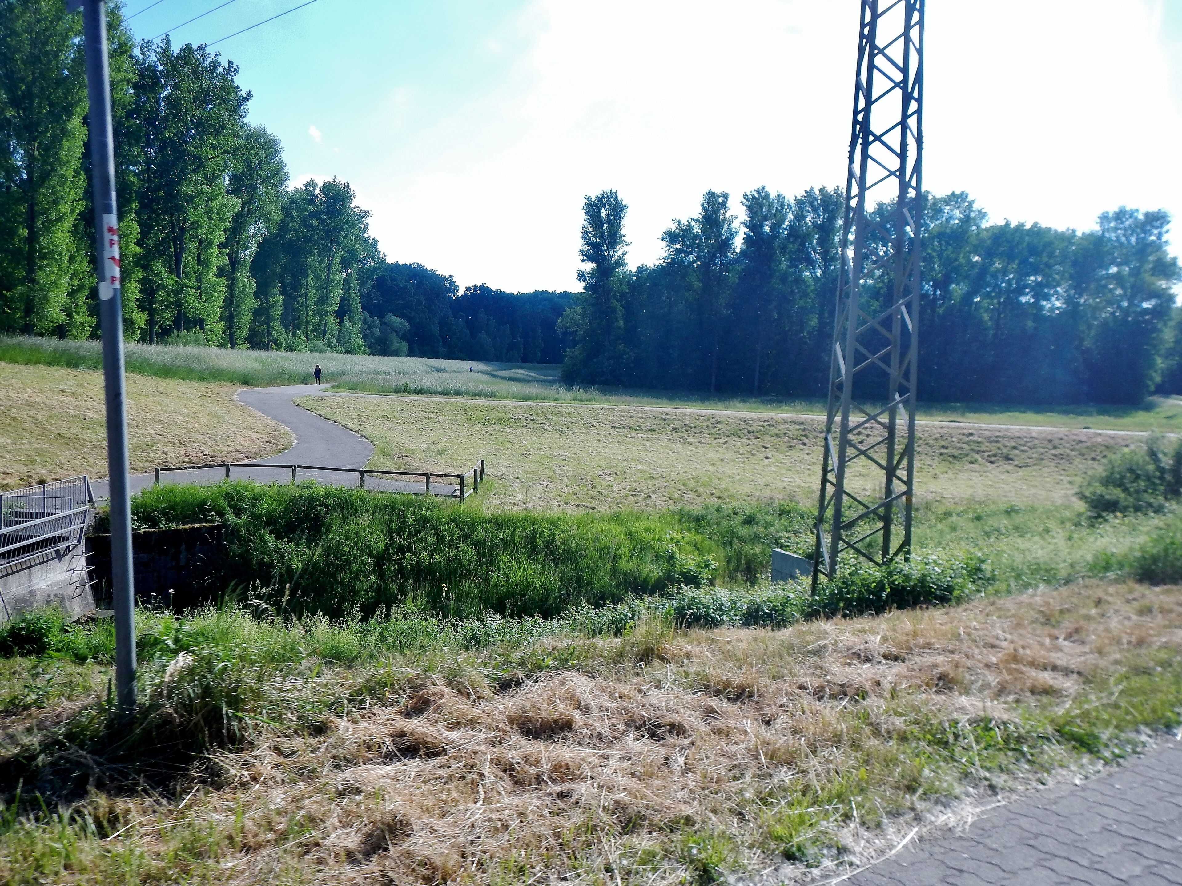 Radweg am Altrhein über dem Müllgraben