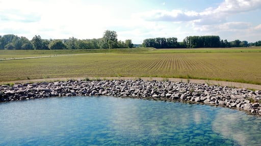 In der Nähe der Schafwiesen am Althrein