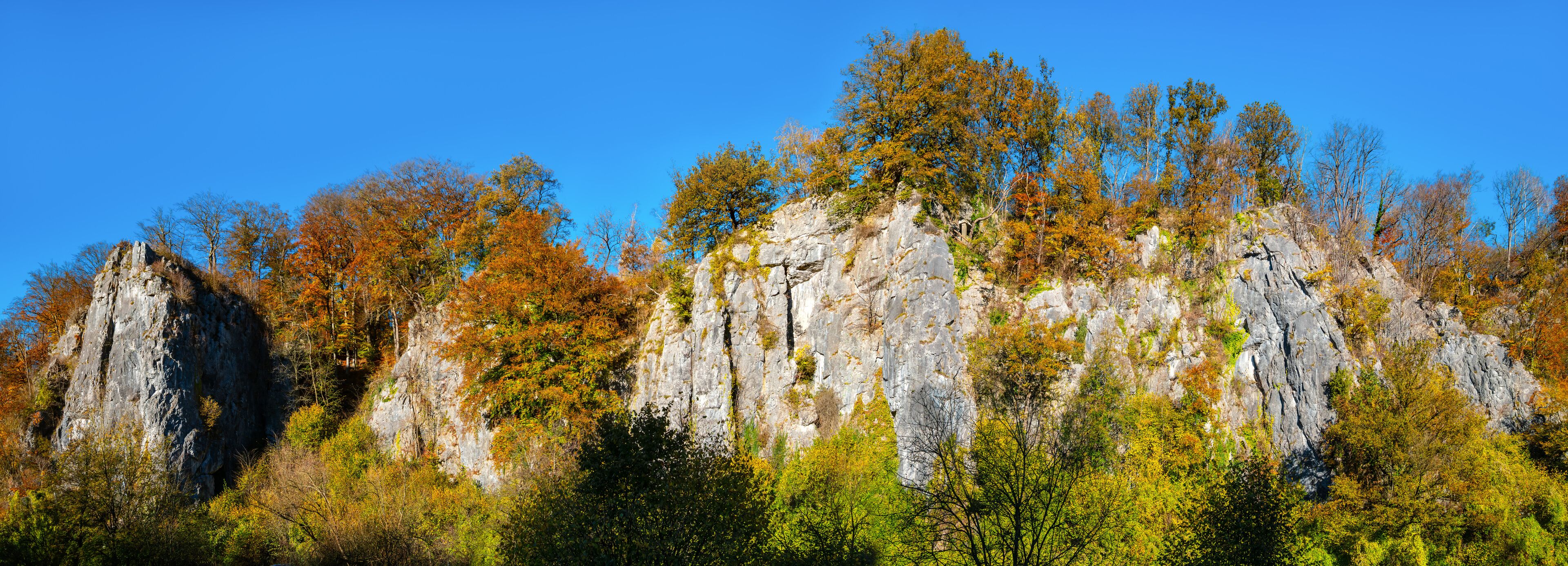 A rocky cliff with autumn foliage.