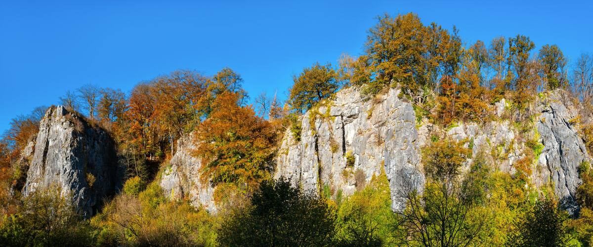 A rocky cliff with autumn foliage.