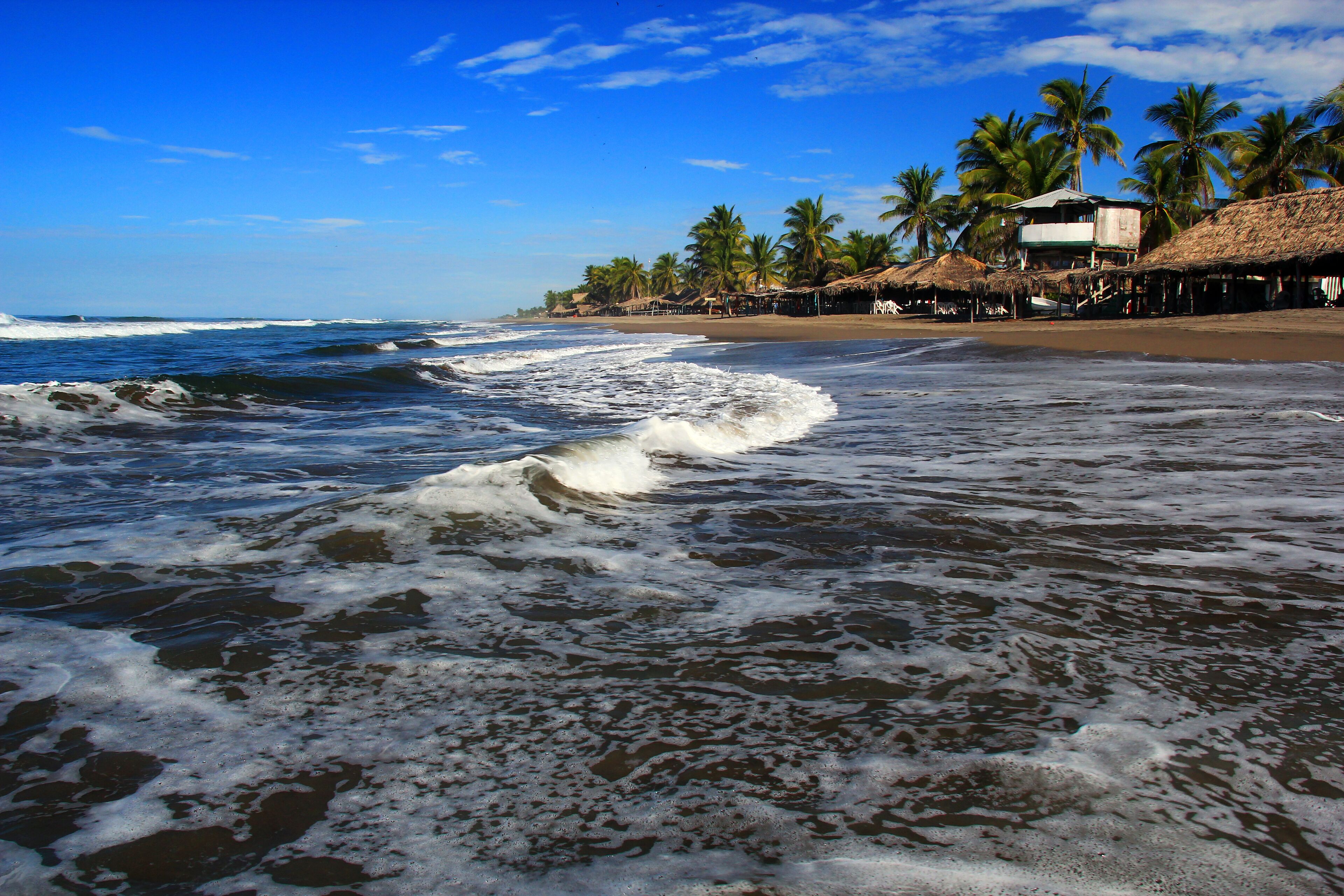 A beach with waves, palm trees, and thatched-roof huts.