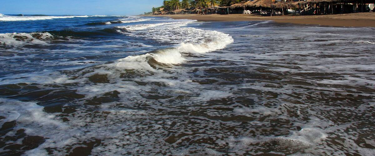 A beach with waves, palm trees, and thatched-roof huts.