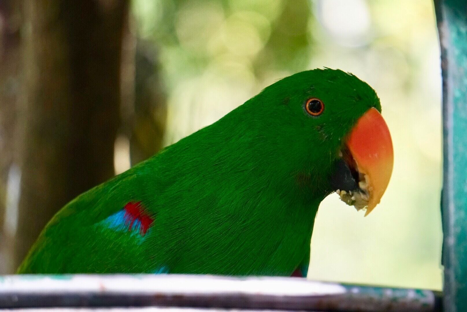 The Australia Zoo in Brisbane, AU..