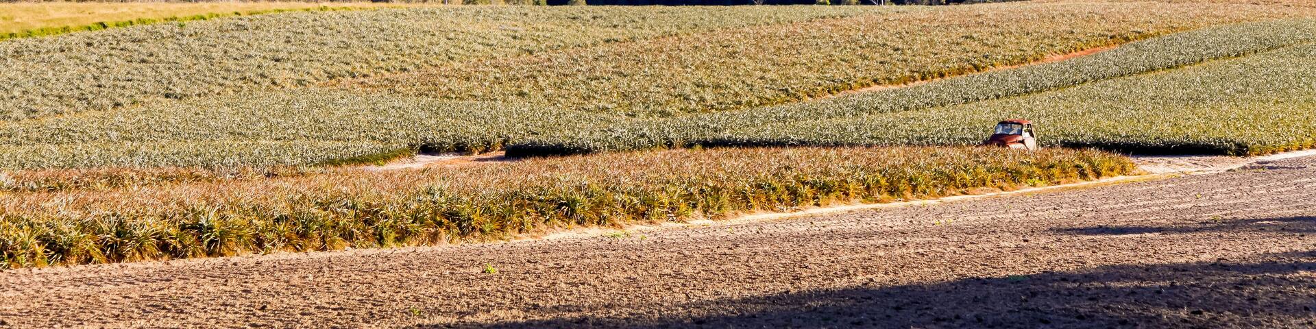 Mount Tibrogargan, Glasshouse Mountains, Sunshine Coast Hinterland, Queensland, Australia.