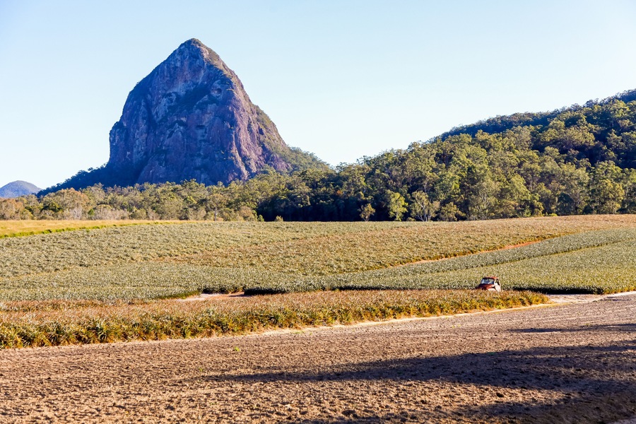 A landscape with a prominent mountain, agricultural fields, and a dirt road.