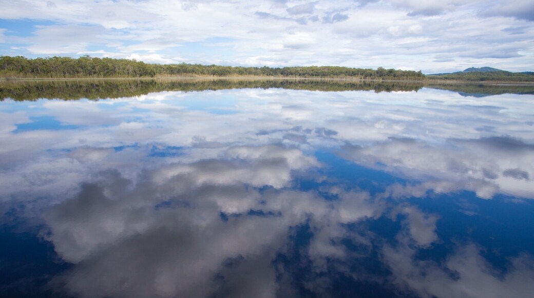 Not too far from Landsborough in the Sunshine Coast hinterland, you can visit the dam for a day. Be tempted to take a trail hike - choose from the 1.5km spillway walk or the 5km dam trail. Take the kayak out on the water, or enjoy a BBQ as you take in the reflections on the still waters.
#sunshinecoast #queensland #australia