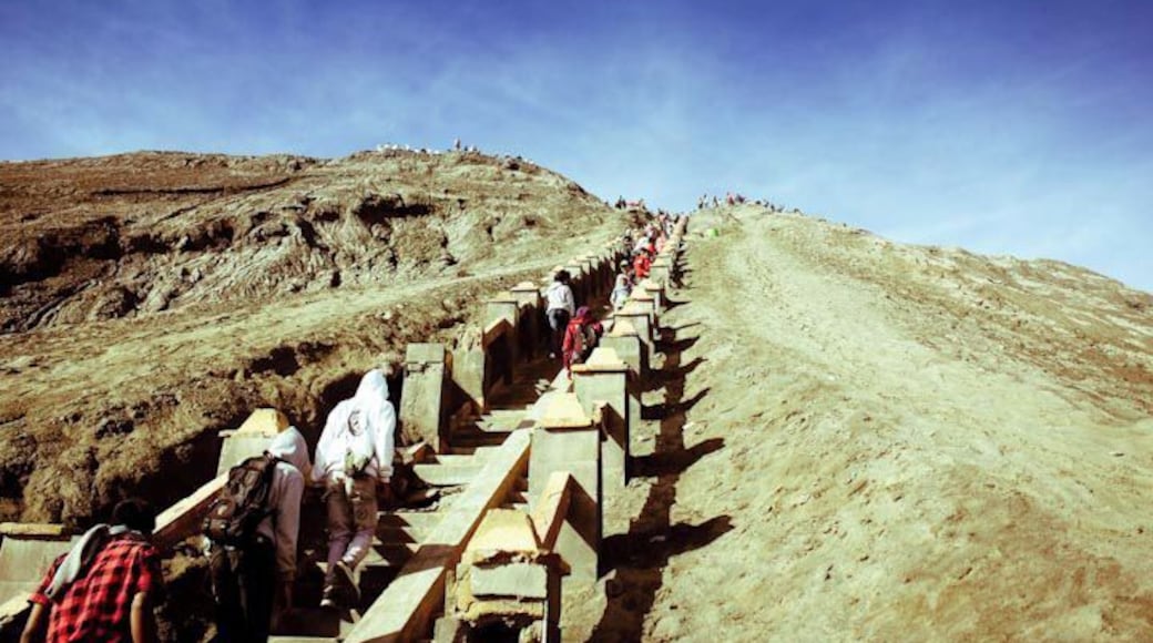 250 stairs to see the crater. #lifeatexpedia #indonesia #bromo