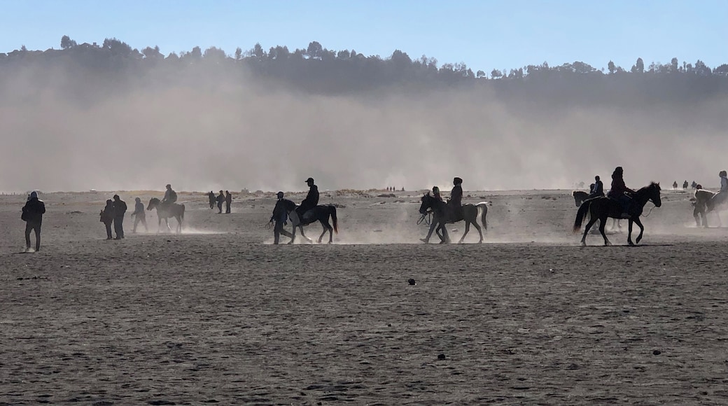Lots of people offering horseback ride from
Carpark to the temple for 100k rupiah each