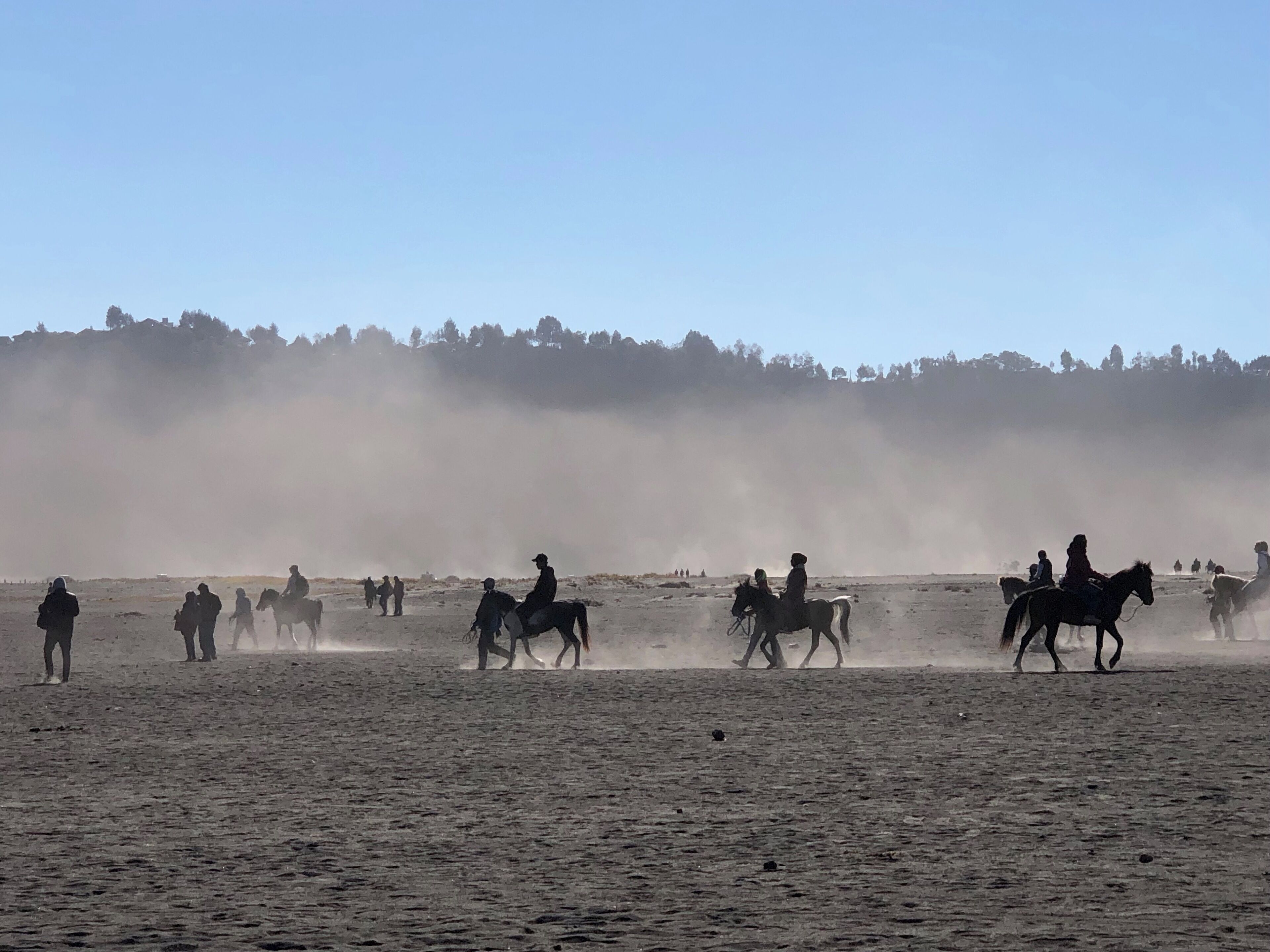 A group of people riding horses across a dusty field with a forest in the background.