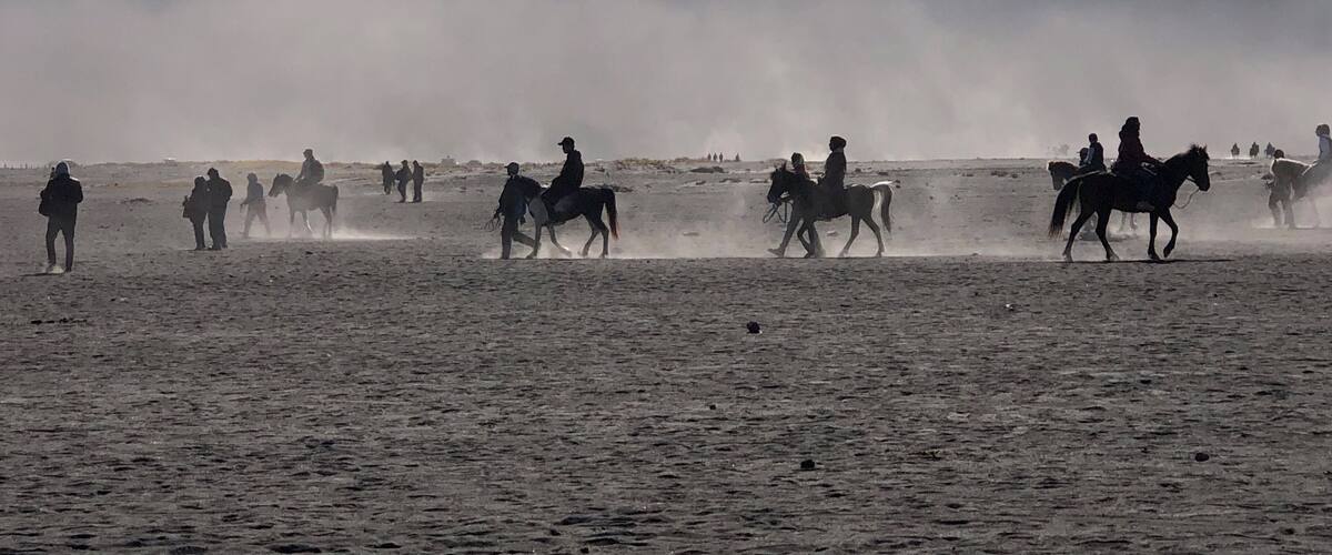 A group of people riding horses across a dusty field with a forest in the background.