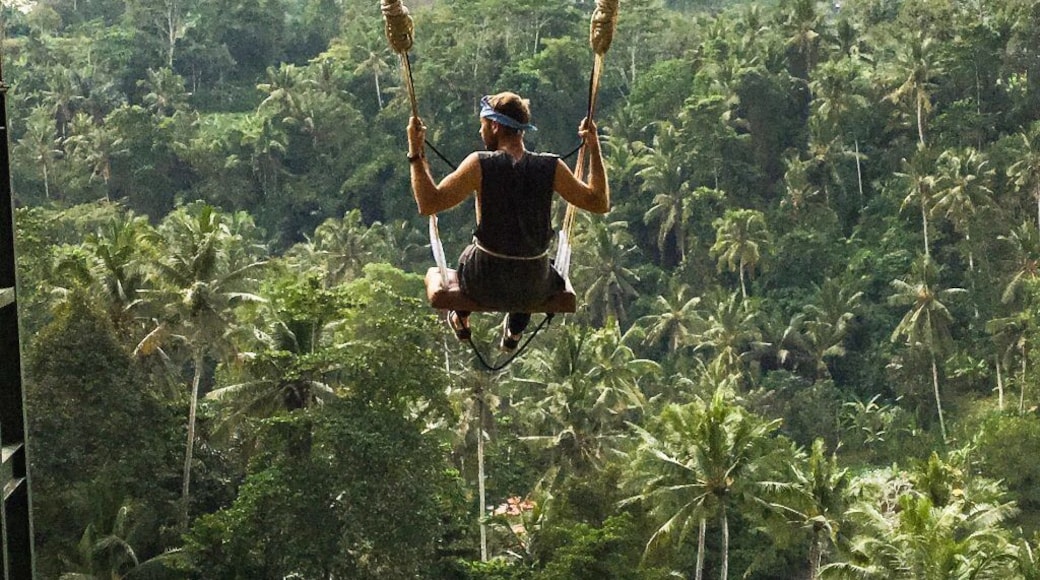 This is one of the most awesome things I did in Bali! You can find my full experience here. https://thenorthernboy.com/bali-swing-in-ubud