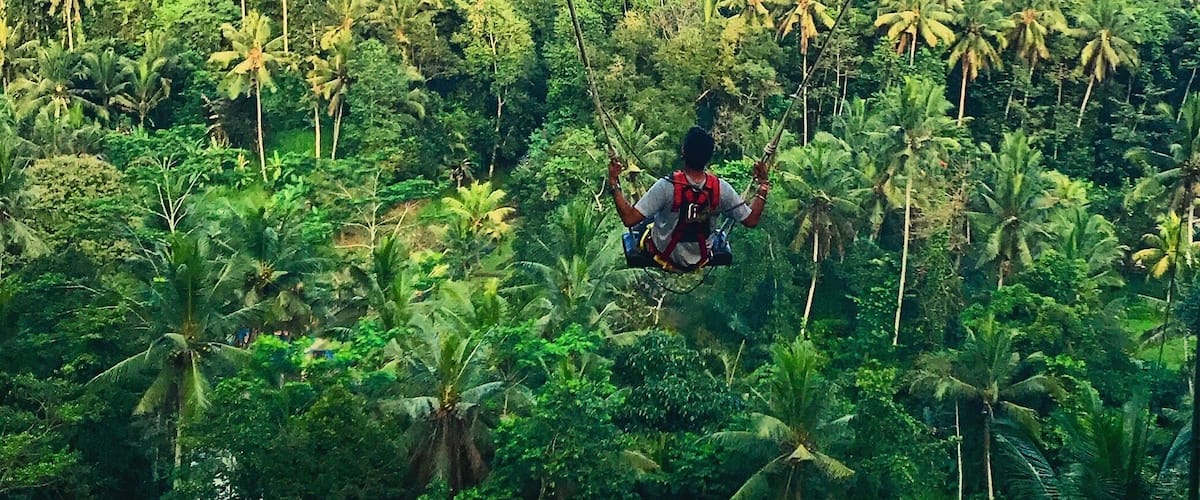 Swinging by the Palm trees.