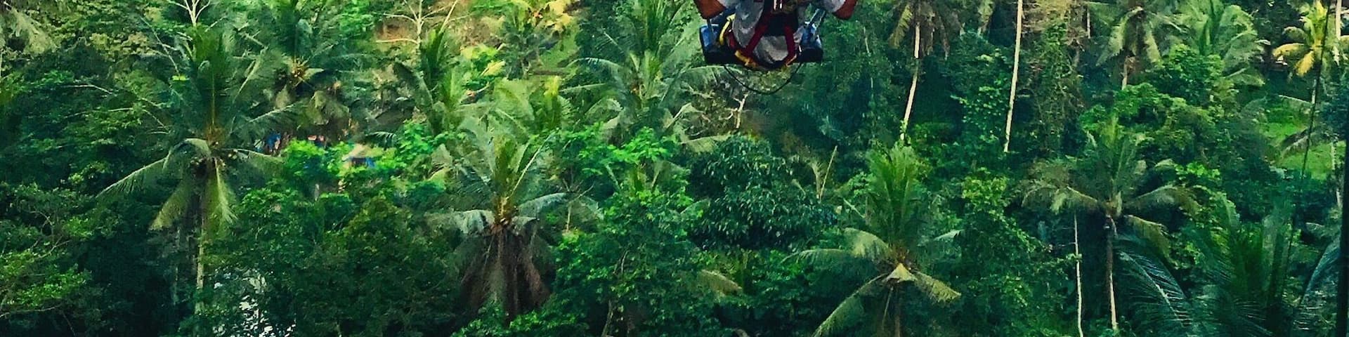 Swinging by the Palm trees.