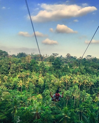 Swinging by the Palm trees.
