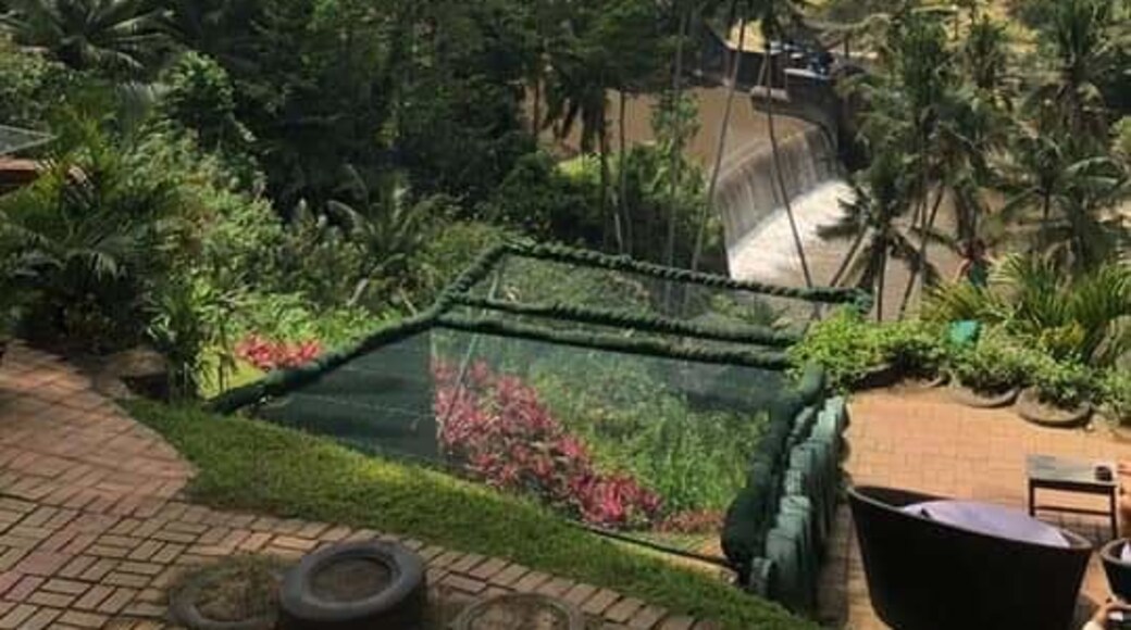 Lots of fun with a lot of photo opportunities. Swing to the extreme.
#Trovember