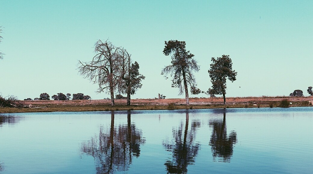 The little lake just outside my friends house 🖤