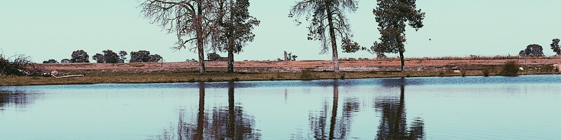 The little lake just outside my friends house 🖤