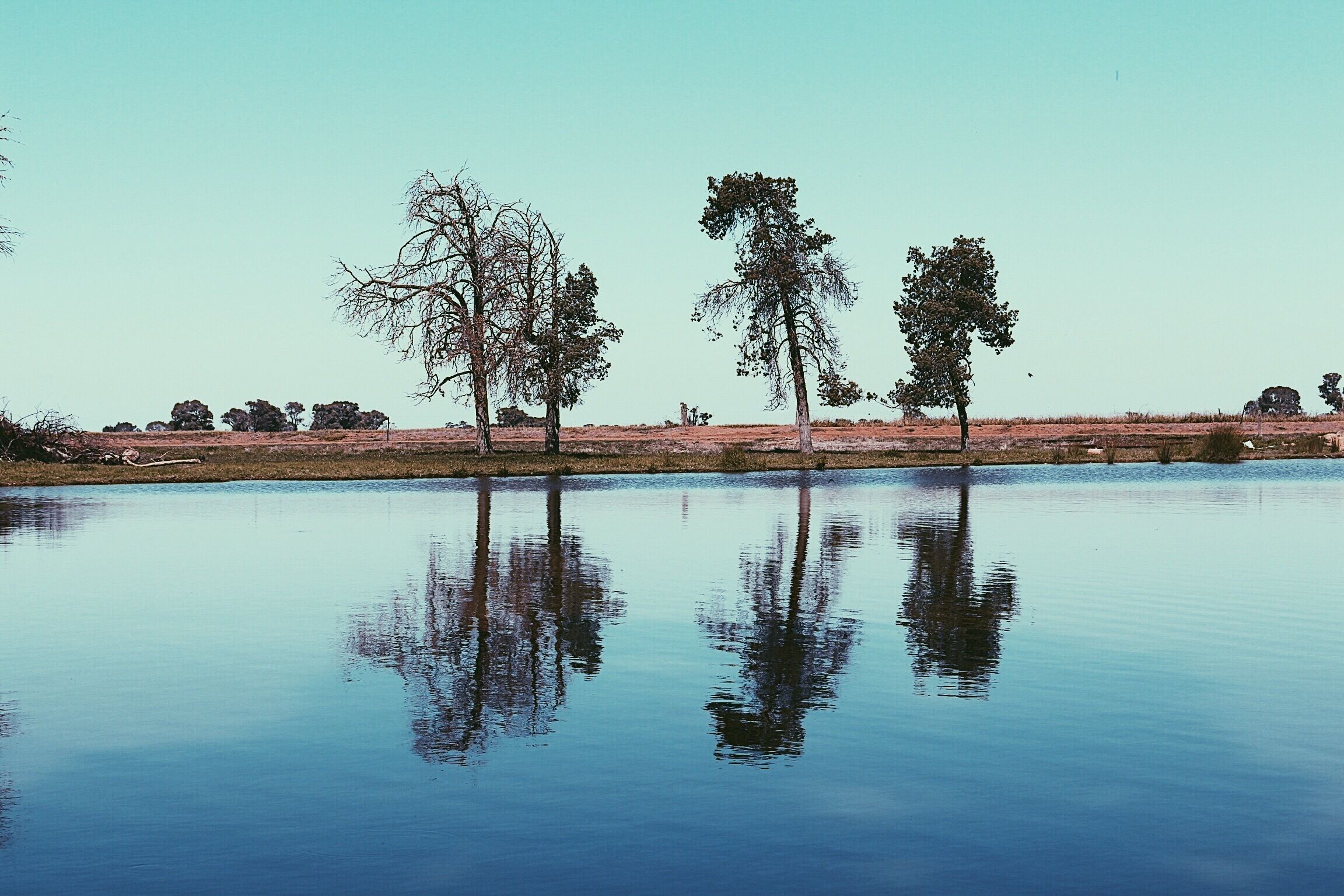 A calm lake with reflections of trees and a clear sky.
