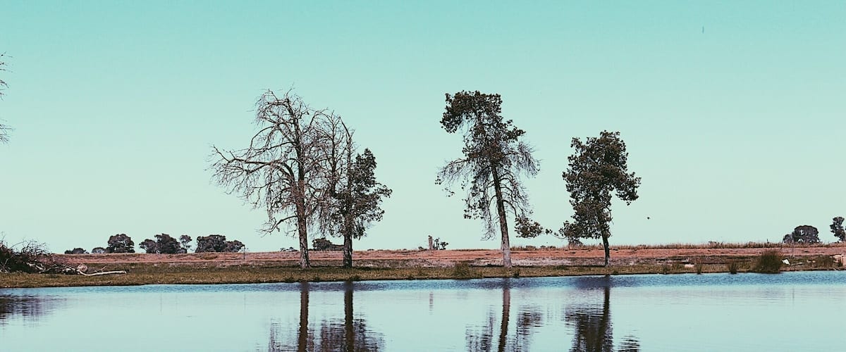A calm lake with reflections of trees and a clear sky.
