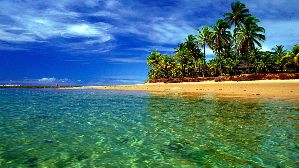 A tropical beach with clear turquoise water, palm trees, and a hut on the sand.