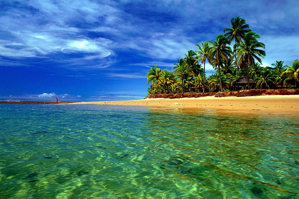 A tropical beach with clear turquoise water, palm trees, and a hut on the sand.
