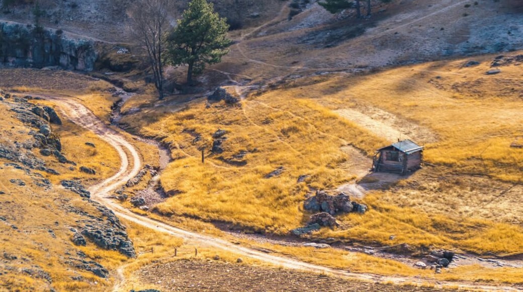 Isolated houses dot the Copper Canyon landscape, where local Tarahumara families seem to enjoy having their own space.