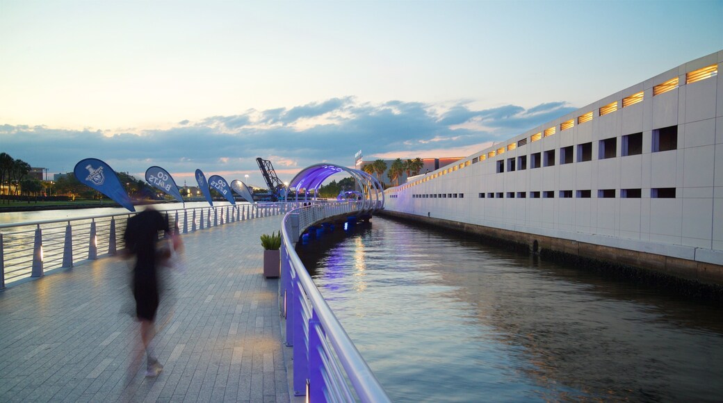 Tampa Riverwalk