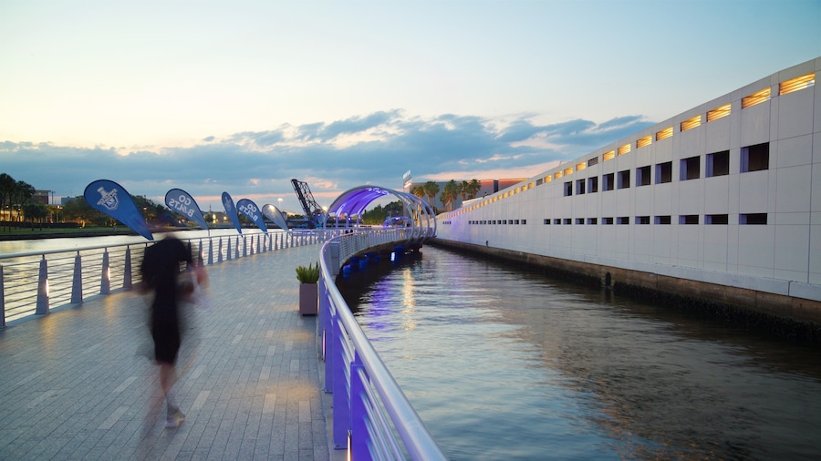 Tampa Riverwalk