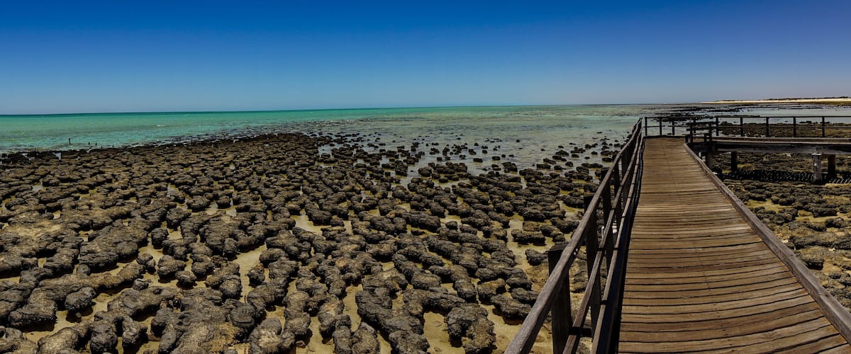 A rocky beach with a wooden boardwalk leading to the sea.