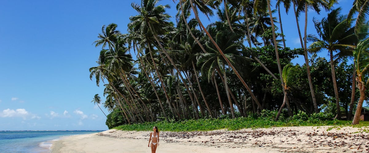 A beach with palm trees and clear blue sky.