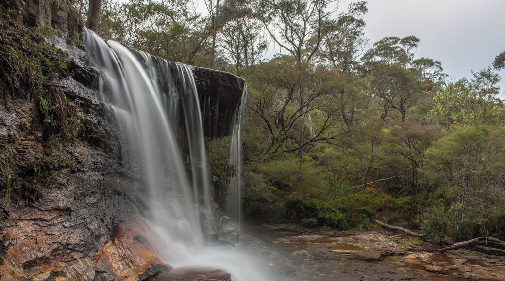 On the Wentworth Falls Walk the first feature you come across is the Weeping Rock, we had very good rain fall several days before so the flow was very good.