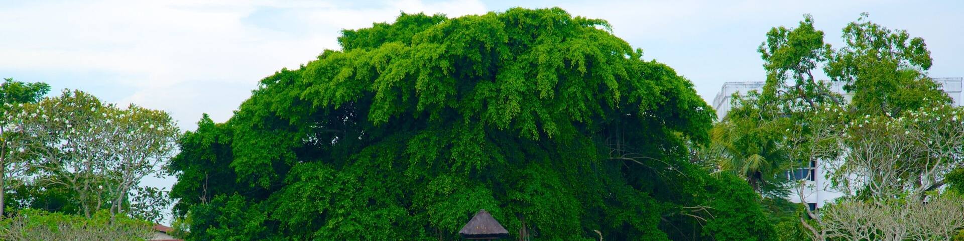 Mayura Temple and Park featuring a temple or place of worship and a pond