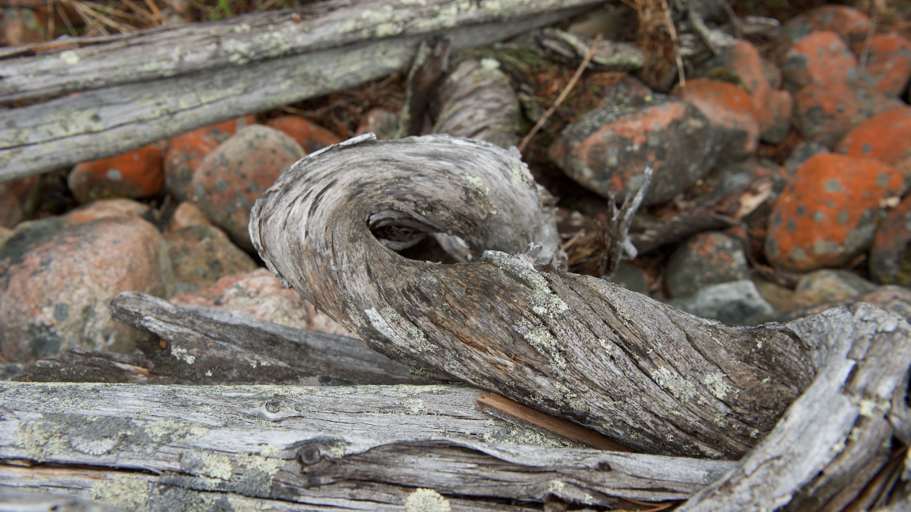Fell-Lapland Nature Centre showing camping