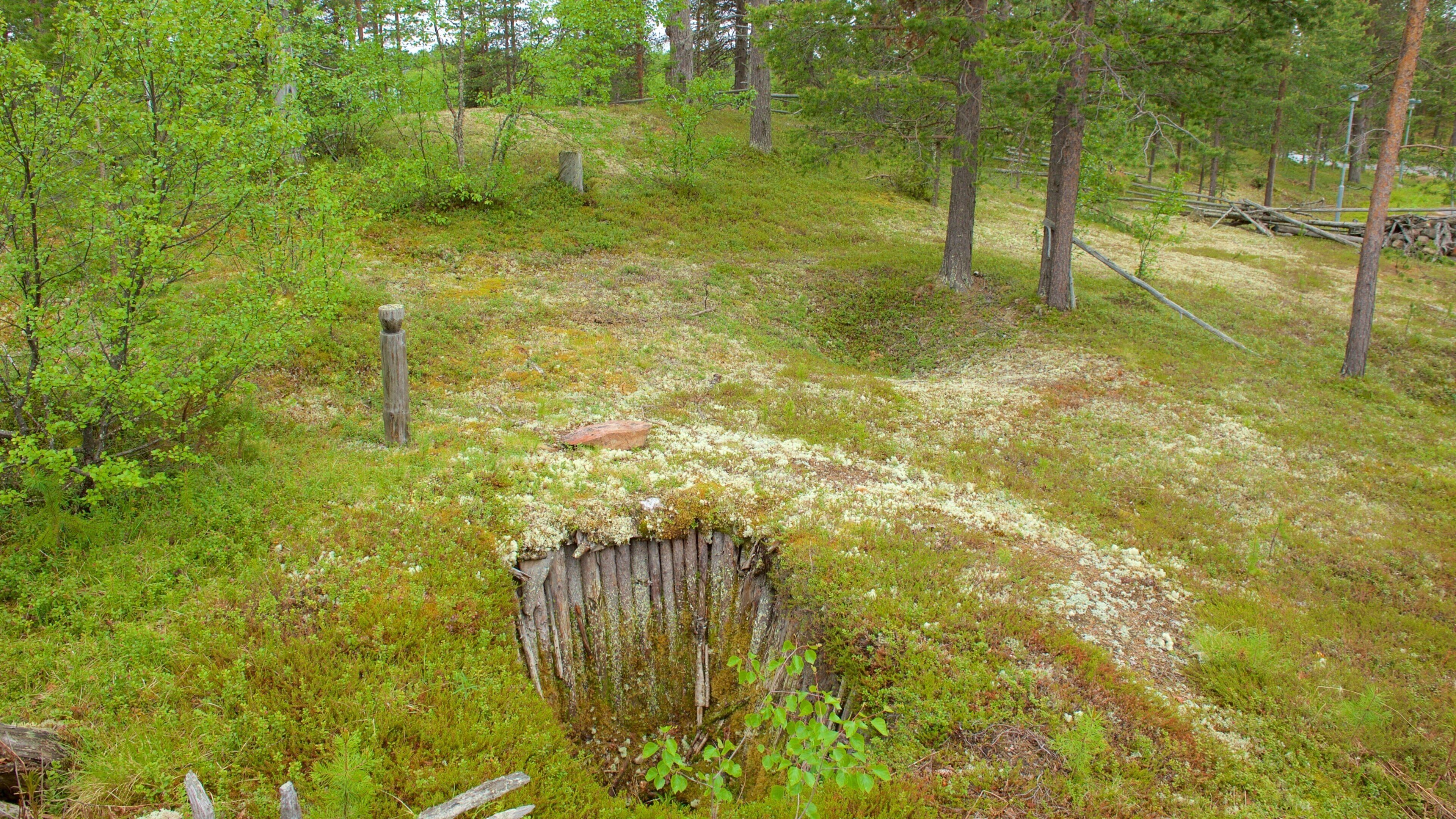 Fell-Lapland Nature Centre featuring a park and tranquil scenes